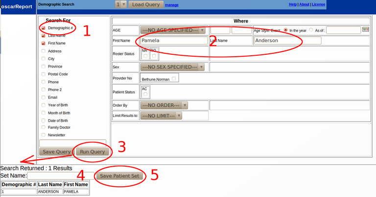 Demographic Report Tool