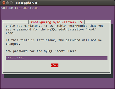 MySQL 5.5 Password setting